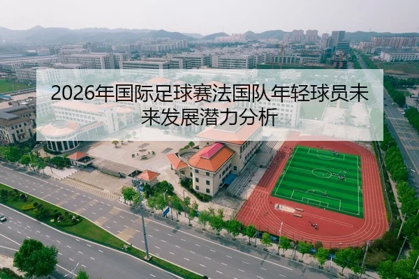 2026年国际足球赛法国队年轻球员未来发展潜力分析